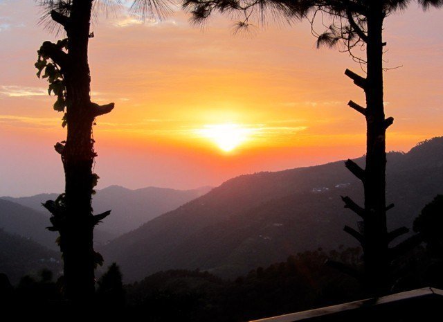 Kasauli Hill Escape